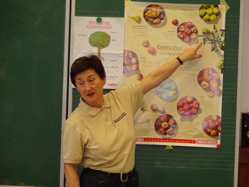 Apfelworkshop - 1a, 1b