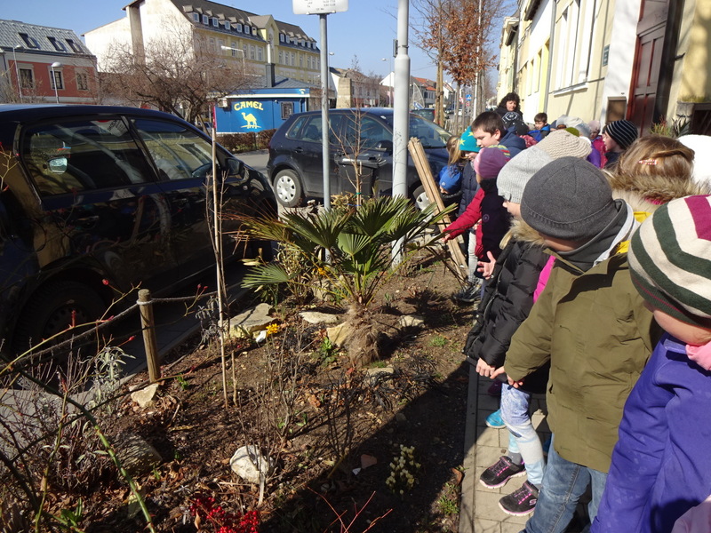 08.03.2017 - Auf Blumensuche - 2a, 2b