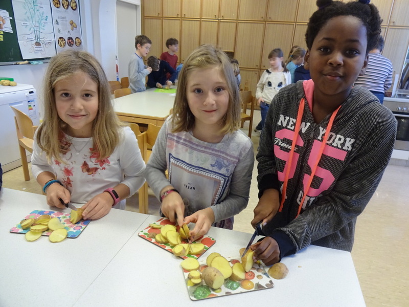 Erdapfel - die tolle Knolle - 4a, 4b