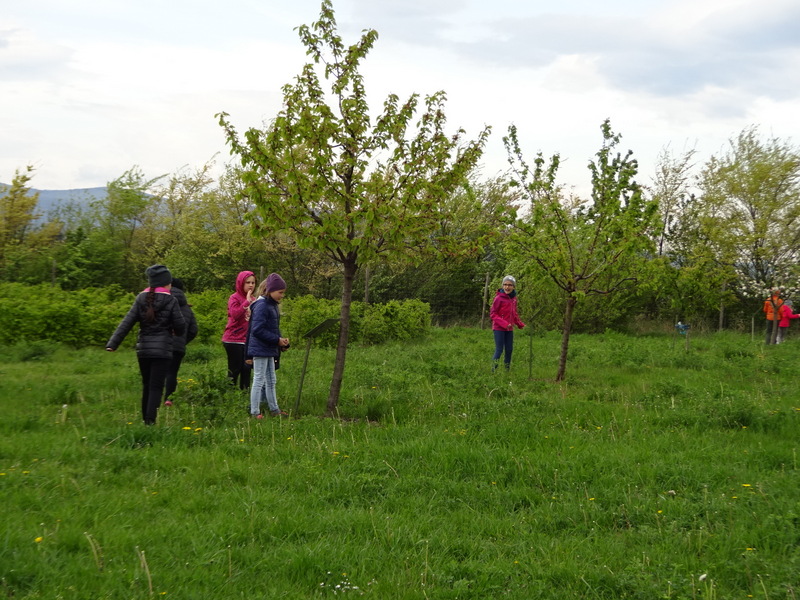 26.04.2017 - Obstsortengarten - 3a, 3b