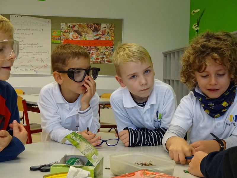 Zu Besuch im Pannoneum - 1a, 1b, 2a, 2b