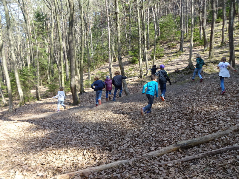 29.03.2017 - Werkstatt Natur - Frühling - 3a, 3b