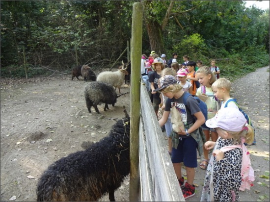 Die Partnerklassen im Steppentierpark