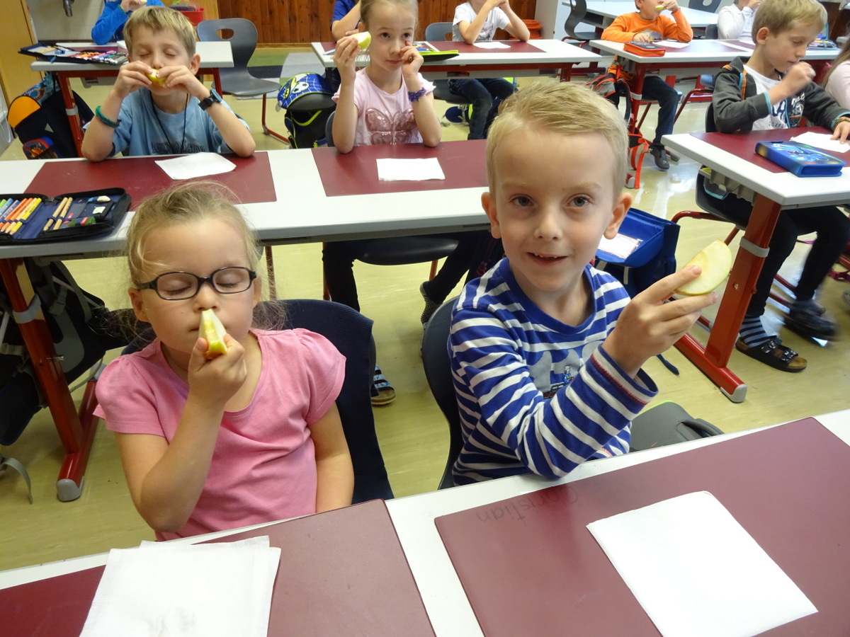 16.10.2017 - Apfelworkshop - 1a, 1b, 1c