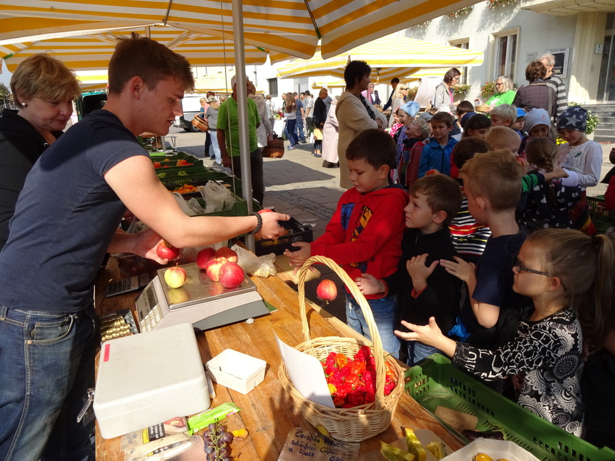 29.09.2017 - Lehrausgang zum Bauernmarkt - 1a, 1b, 1c