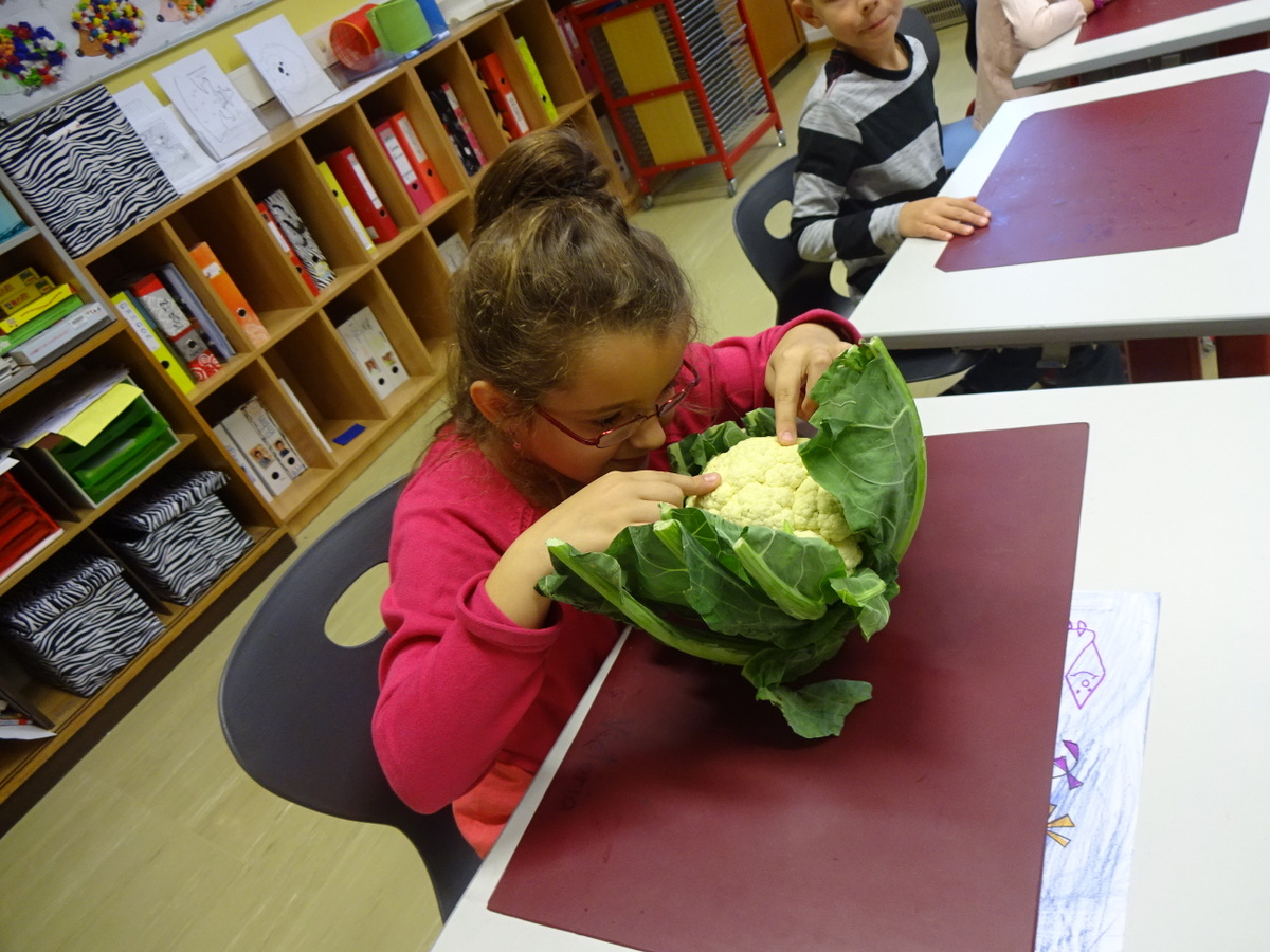 19.10.2019 - Gemüseworkshop - 2a, 2b