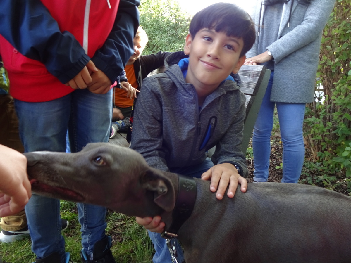 04.10.2017 - Besuch von Hund Charly - 4b