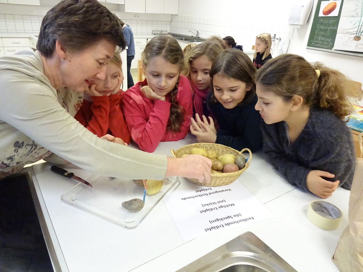 21.11.2017 - Kartoffelworkshop - 3a, 3b