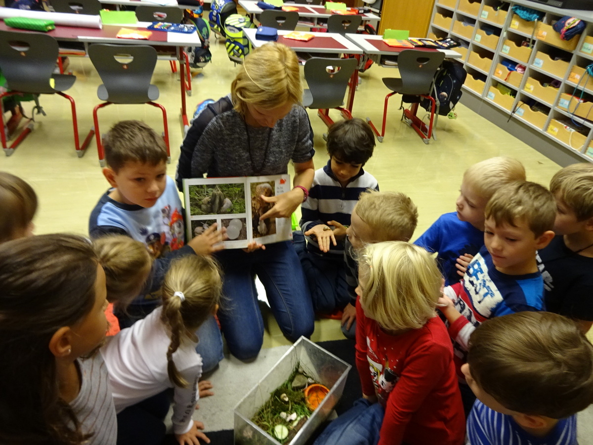 20.09.2017 - Tierische Besucher - 1a