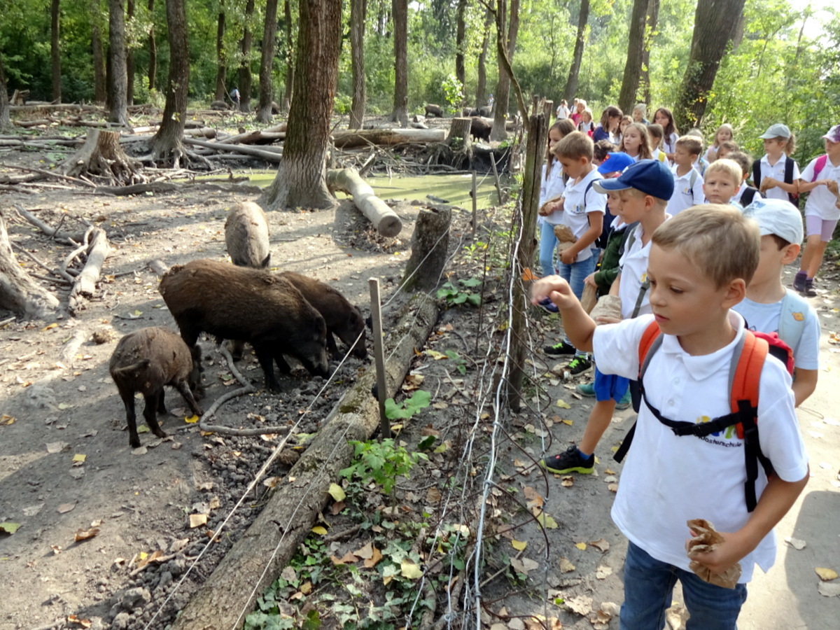 14.09.2018 - Steppentierpark - Partnerklassen 1 und 3