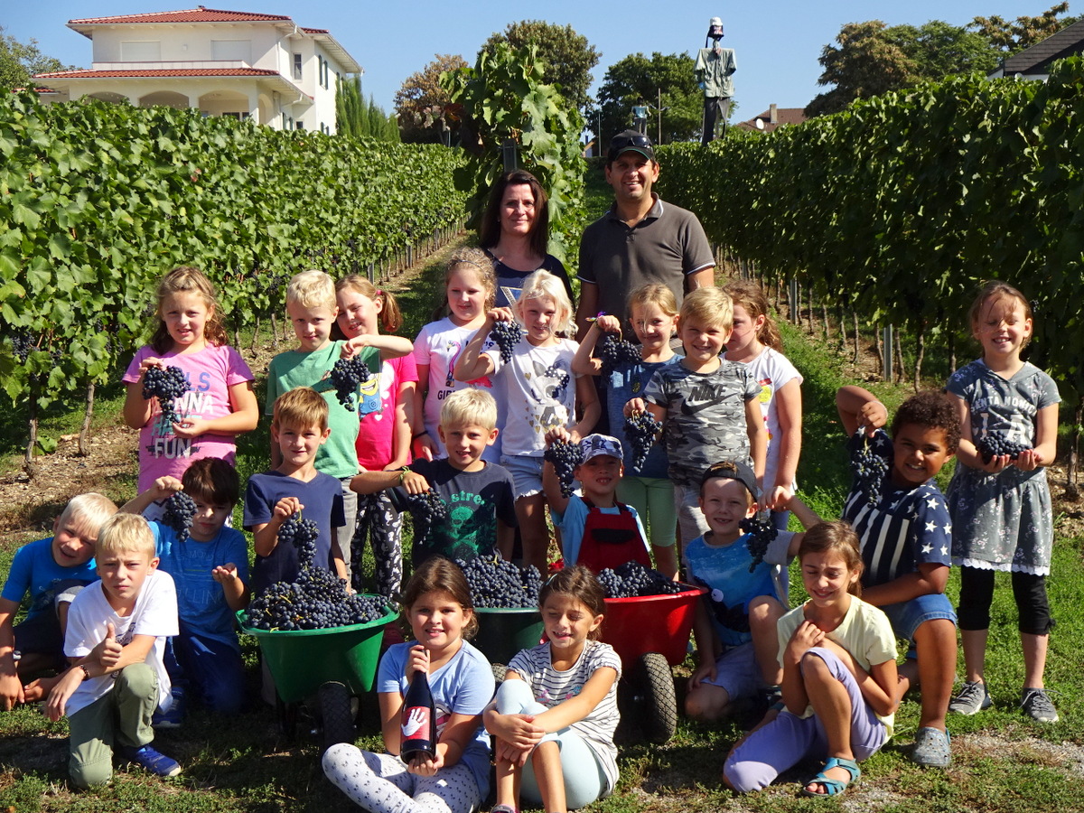 18.09.2018 - Weinlese - 2b