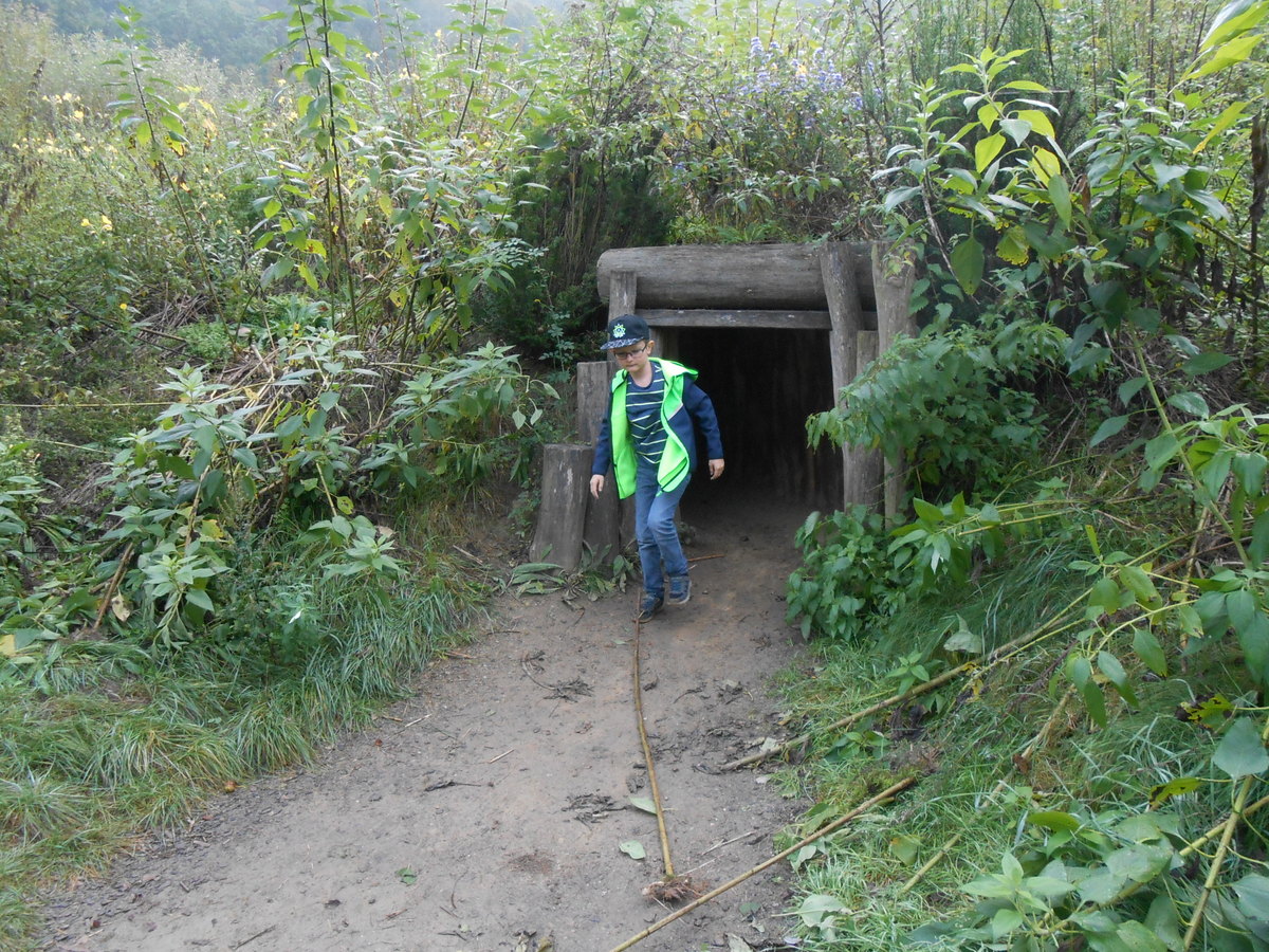 27.09.2017 - Werkstatt Natur - 3a, 3b