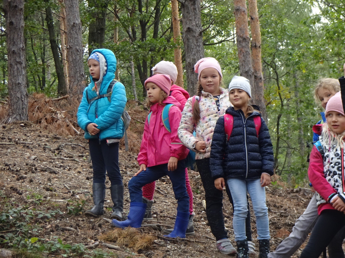 26.09.2017 - Werkstatt Natur - 2a, 2b