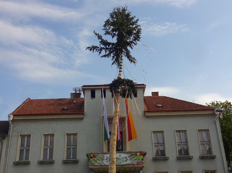 02.05.2019 - Der Maibaum - 1a, 1b, 1c