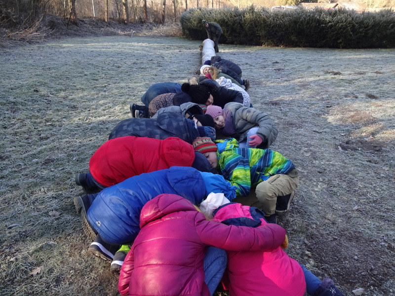 07.02.2019 - Werkstatt Natur - 4a, 4b